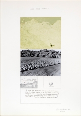 1970 Crab Apple Triangle