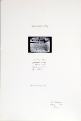 1973 Tall Buffalo Story