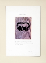 1975 Beach Zebra - Expl. 50/50