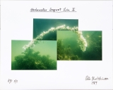 1989 Underwater Soapwort Line II - Expl. A/P 3/11