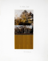 1992 The WritersÂ´ Forest - Expl. A.P.