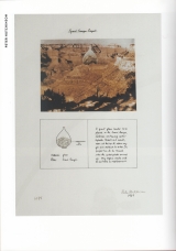 2014-06-28 Kunstpalais Erlangen - Erlangen - Germany - b