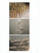 2007 Land Art - Michael Lailach - TASCHEN - Cologne-Germany c