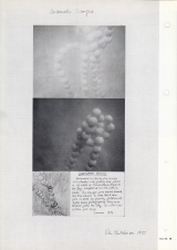 1972-03-19 - Museum Haus Lange - Krefeld - Germany - h 