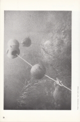 1971 - interfunktionen - Friedrich Wolfram Heubach - Cologne - Germany c