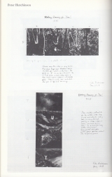 1979 - KUNSTFORUM Band 33 3/79 - Eric Cameron - Mainz - Germany h