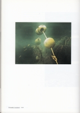 2004 - behind the facts - interfunktionen 1968-1975 - Gloria Moure - ediciones polÃ­graia - Barcelona - Spain f