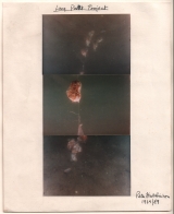 1969/89 Long Point Project