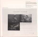 1979-10-07 Groninger Museum - Groningen - Netherlands c